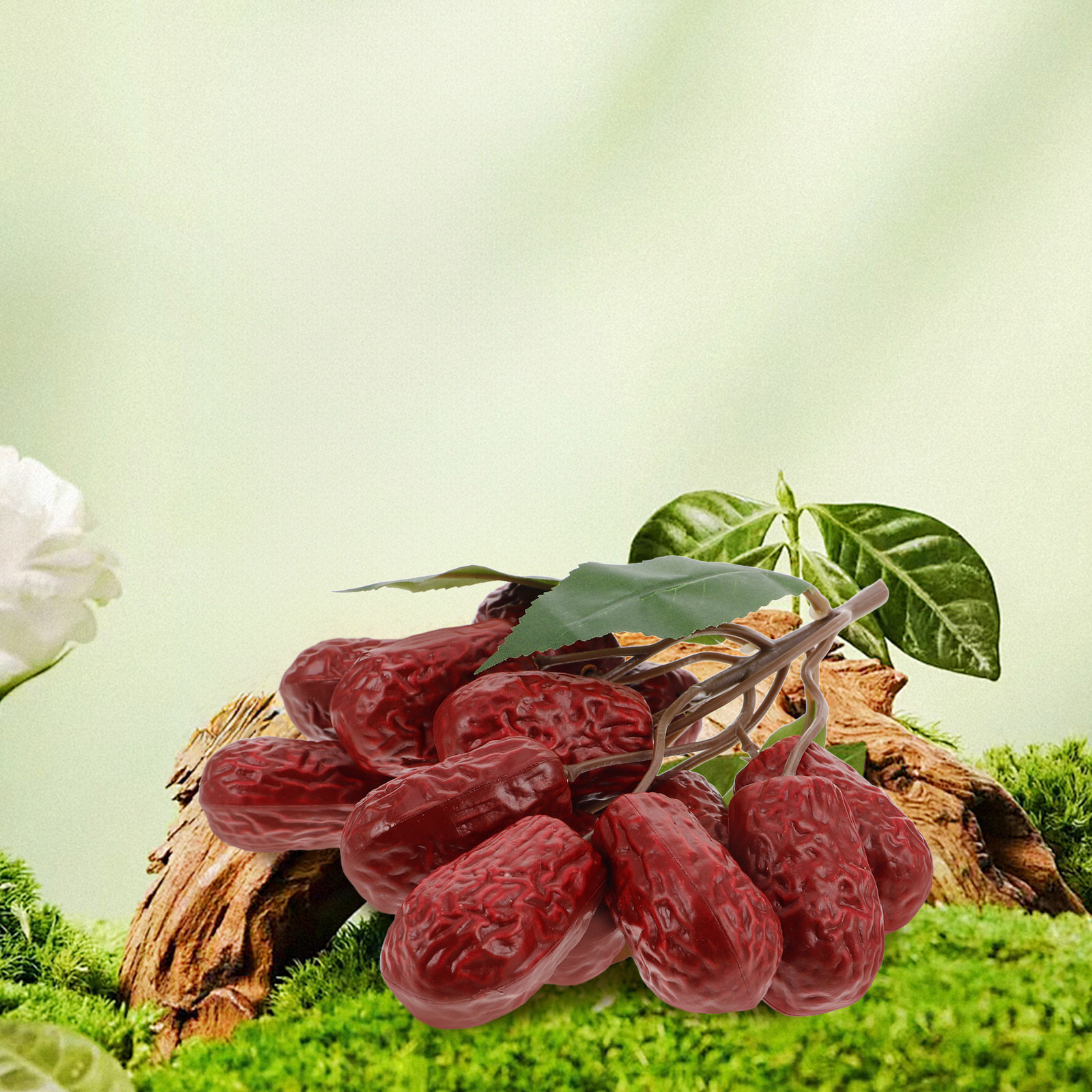Photography Date - Lifelike Jujube Decoration Set Realistic Artificial