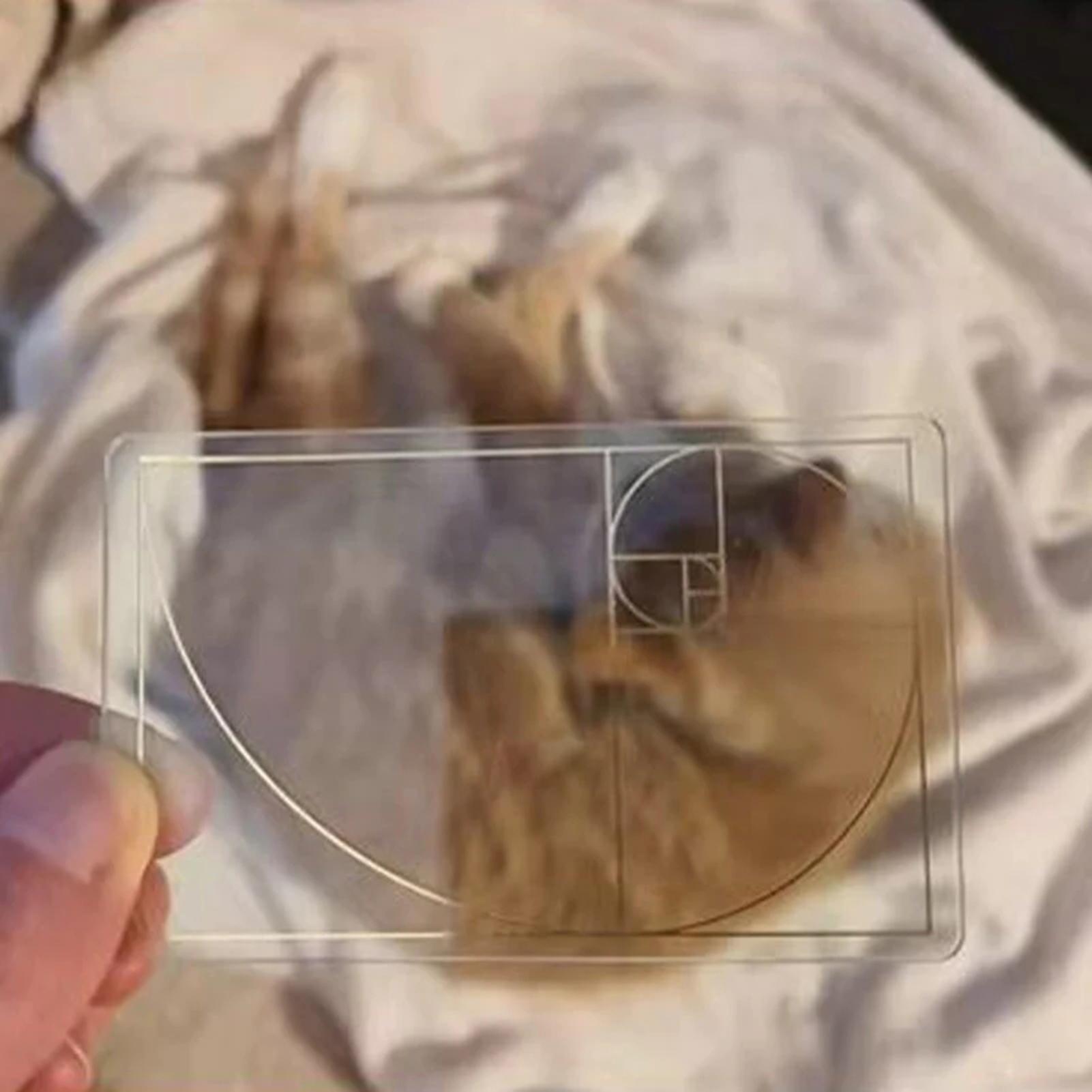 View Finder for Drawing Golden - đánh giá và giá Photography Golden Ratio
