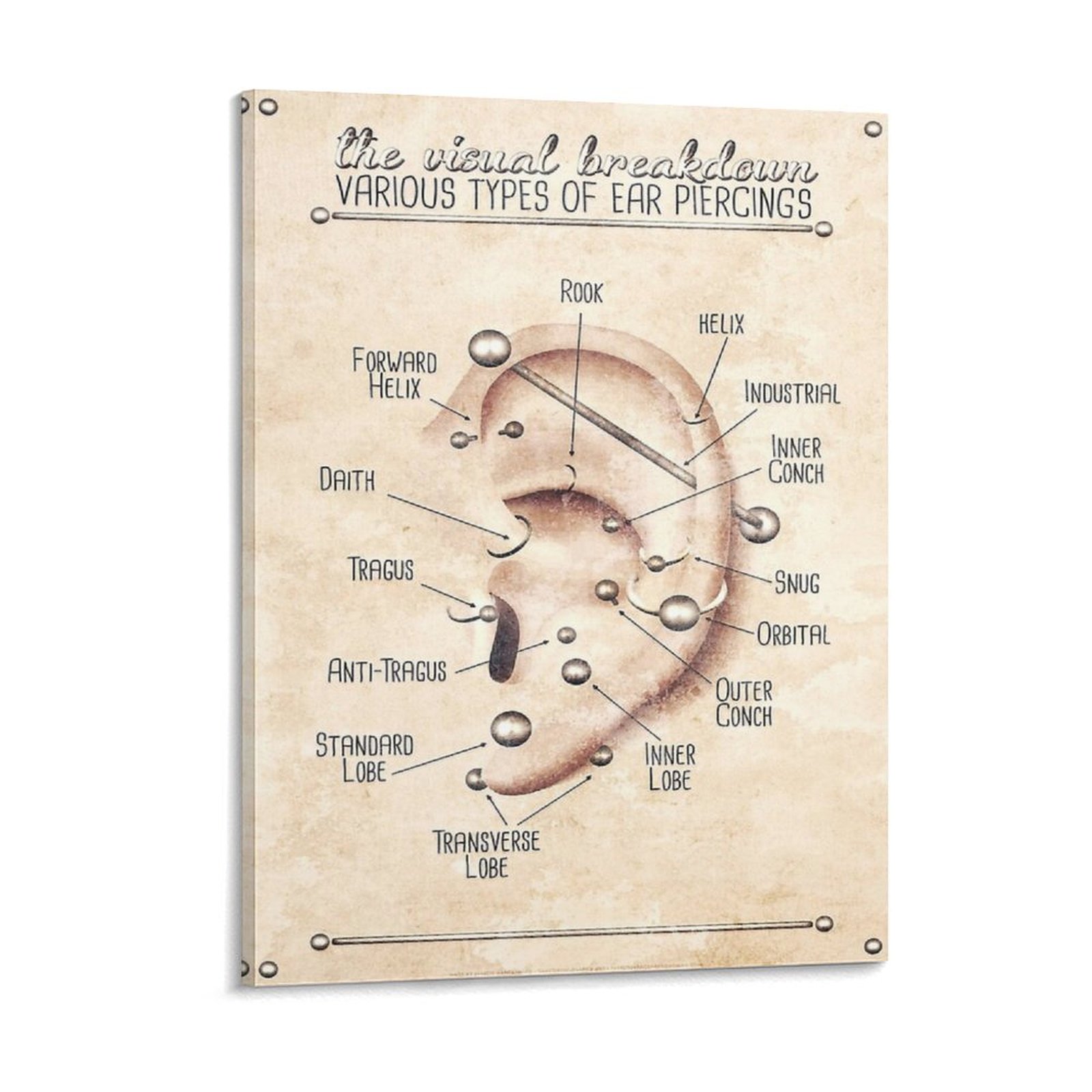 Ear Piercing Infographic Chart - đánh giá và giá Photography Pose