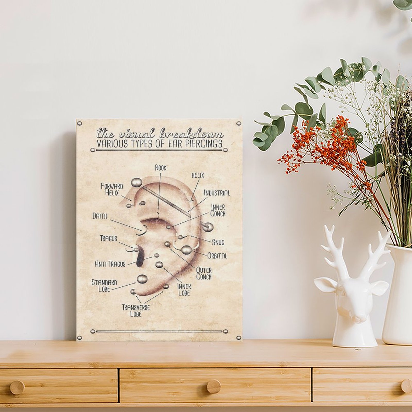 Ear Piercing Infographic Chart - đánh giá và giá Photography Pose